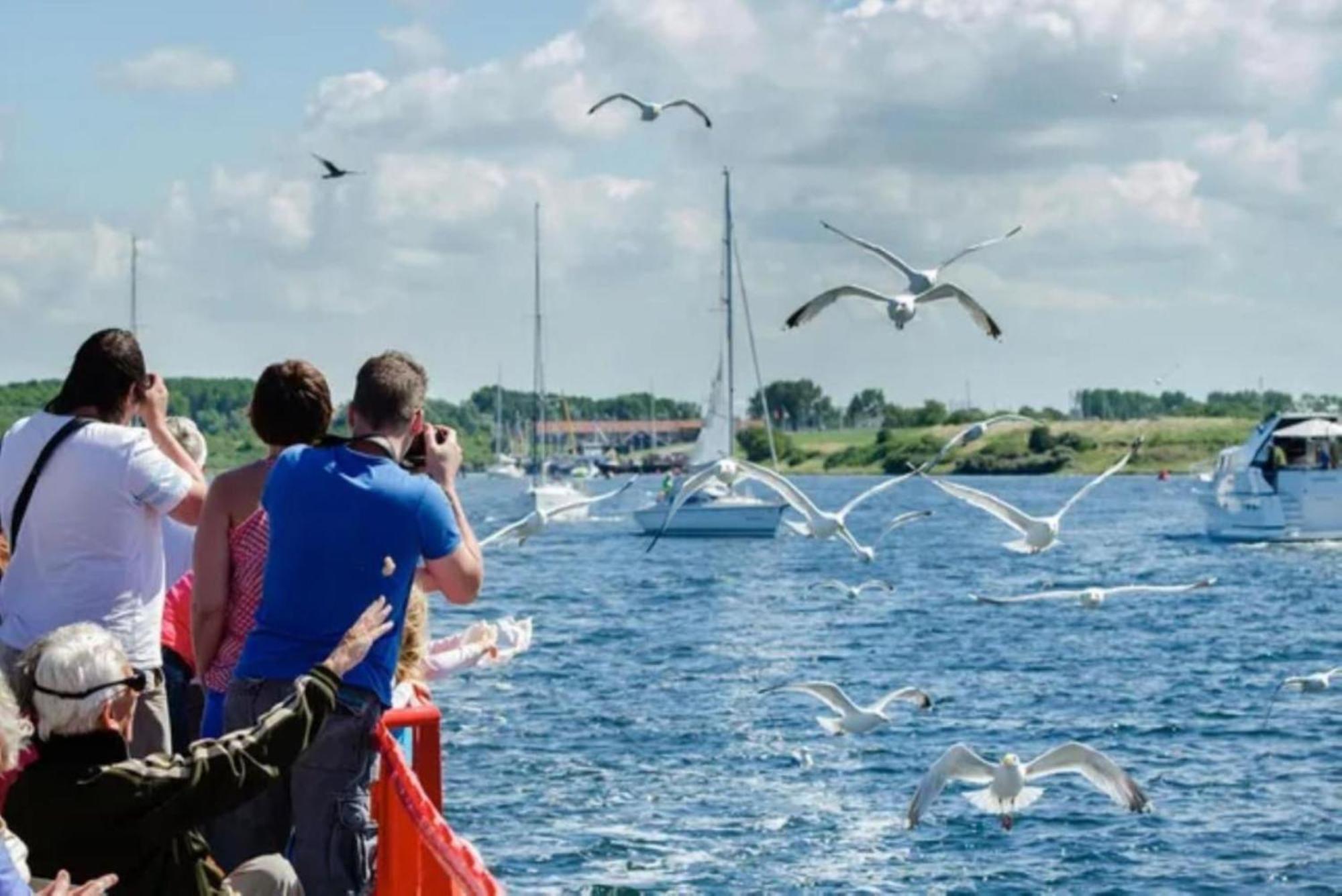 Waterland Apartment Ooltgensplaat Bagian luar foto
